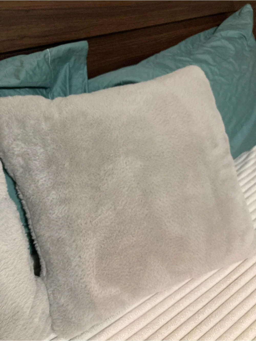 Throw Or Bed Pillows